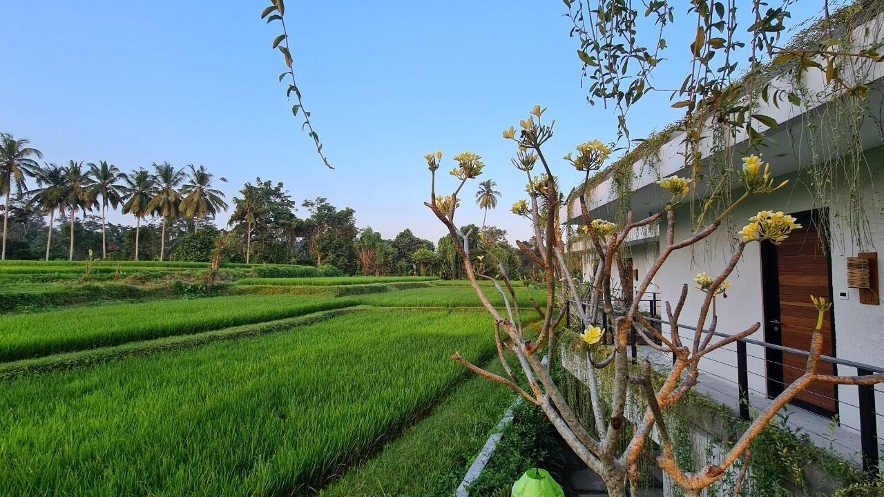 Hotel Ayurvedagram Bali Ubud Exterior foto